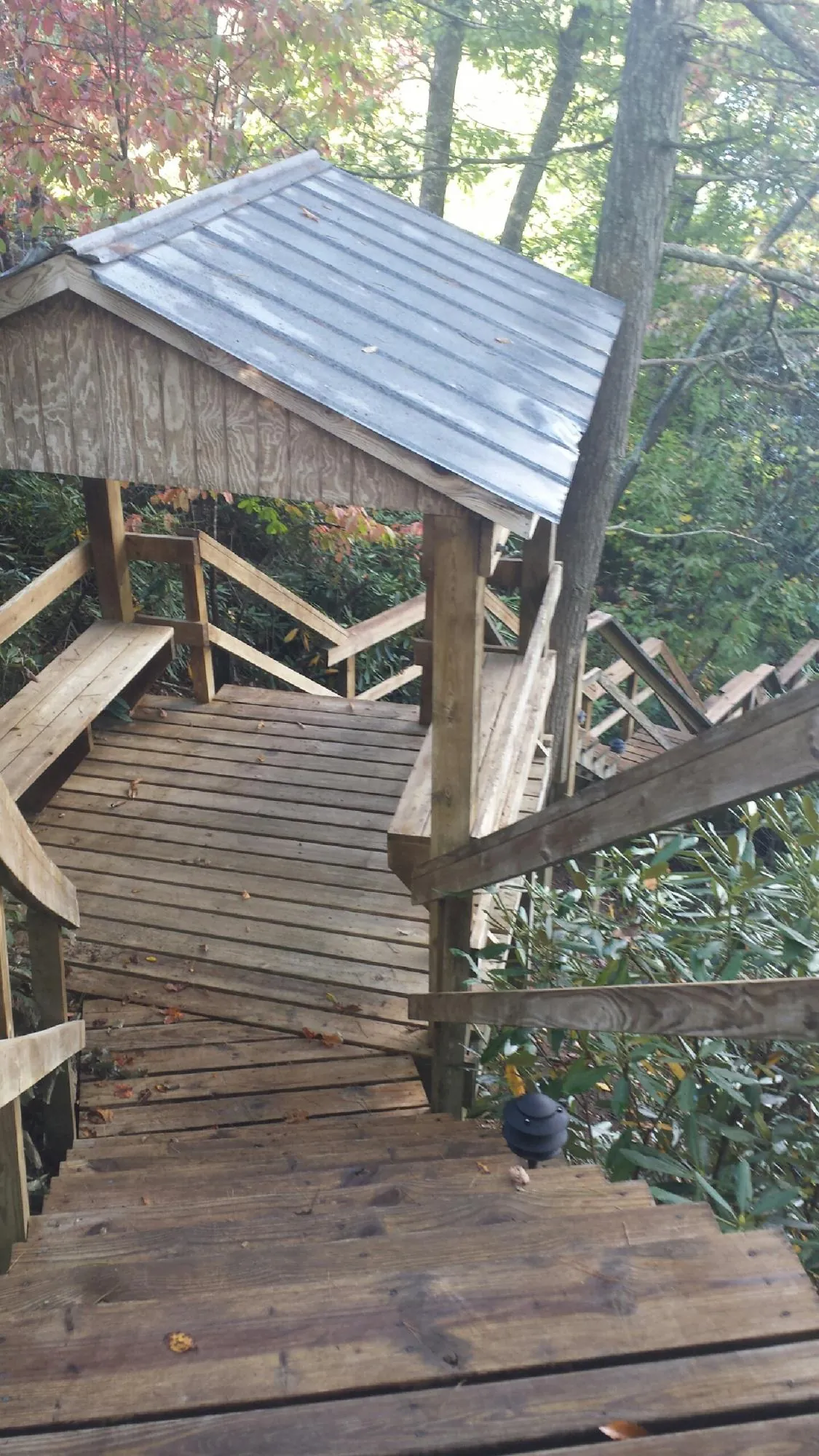 Metal roofed shelter over wooden steps on a wooded walkway — Skylight Repair & Installation work by our crew in Hart